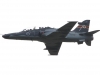 hawk-001
