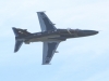 hawk-002