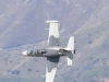l39-003