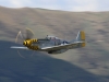 p51-004