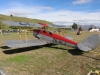 tiger-moth-001
