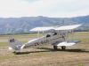 tiger-moth-002
