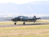 anson-004