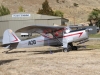 auster-001