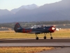 yak52-004