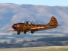 yak52-005