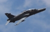 hawk-002