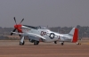 mustang-001