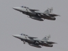 gripen-002