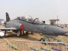 hawk-001