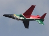 hawk-003