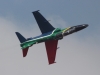 hawk-004