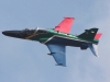 hawk-005