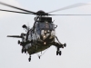 15-seaking