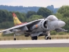 harrier-001