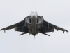harrier-003
