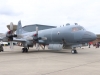 p3-003