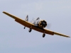 t6-001